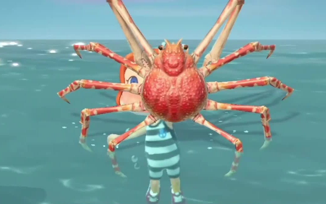 动物森友会一次性捉两只大螃蟹