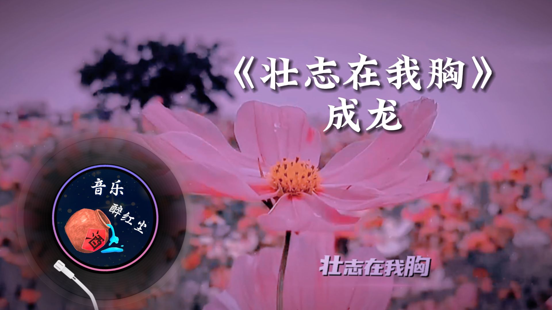 成龙《壮志在我胸》拍拍身上的灰尘振作疲惫的精神,山高水深不能阻挡