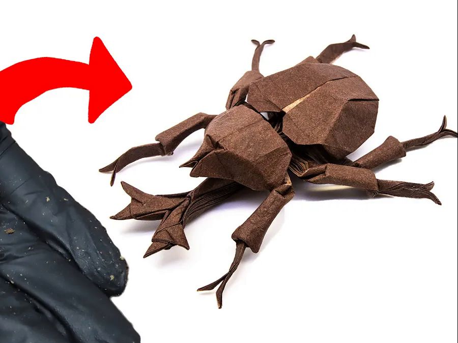 【origami_kimiro】甲虫折纸教程