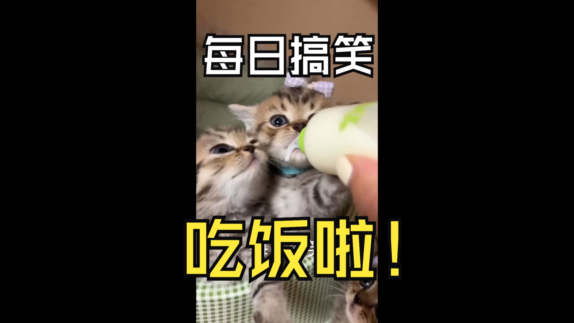 每日搞笑 吃饭啦 像不像小时候的你