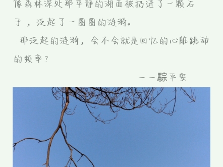 "请大胆一点,往前走,不要回头.