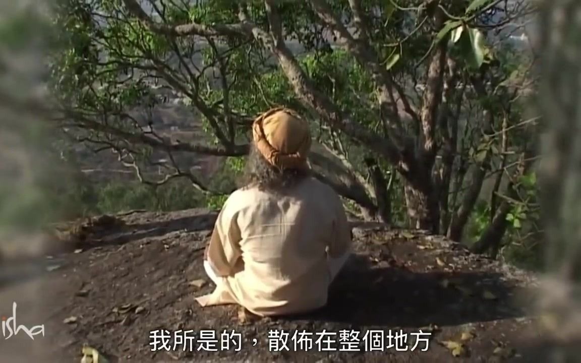 自述的开悟经历 Sadhguru (萨古鲁)哔哩哔哩bilibili