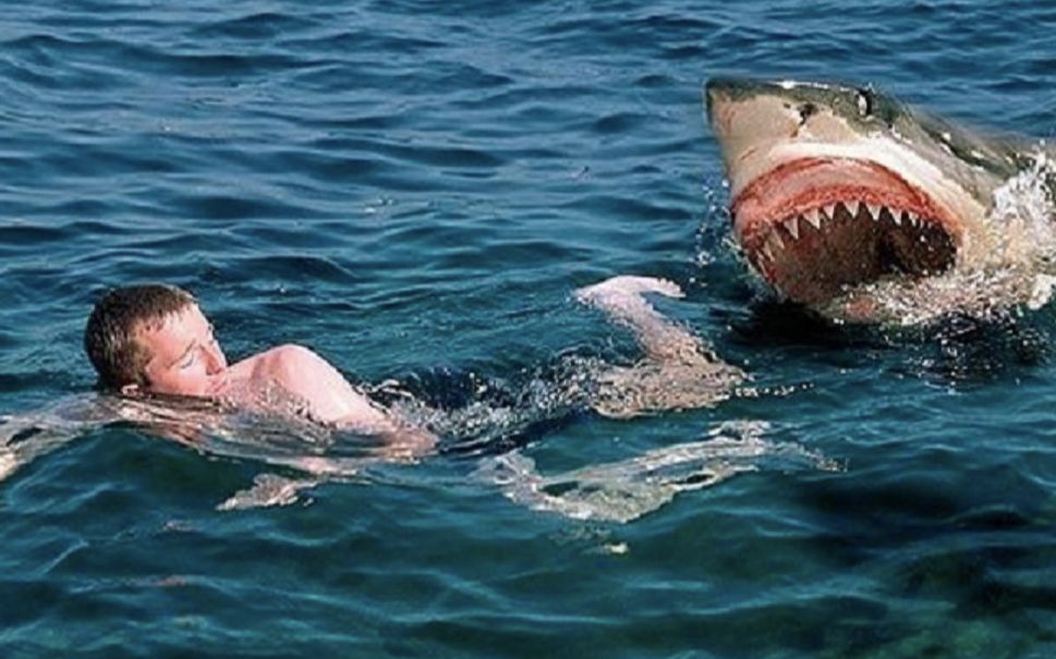 作死老外扮演假鲨鱼在海边吓唬游客游客被吓得直接逃命