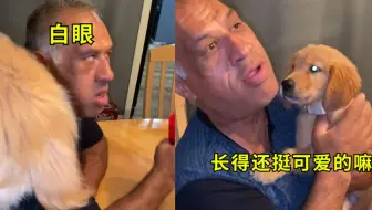 国外一名严厉的父亲见到狗10秒后神变脸，网友：真香永远不会缺席