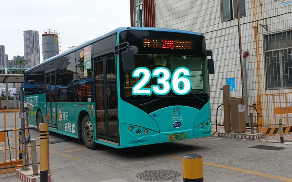 236→银湖汽车站_哔哩哔哩_bilibili