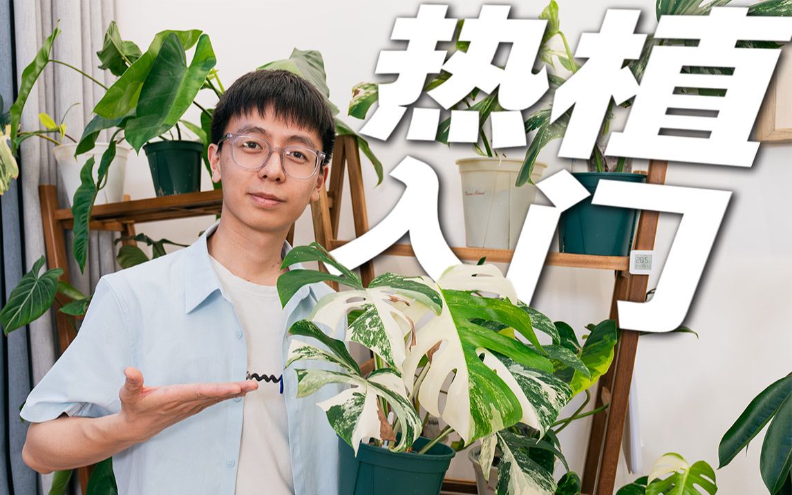 [图]热植入坑2个月就好意思出教程？