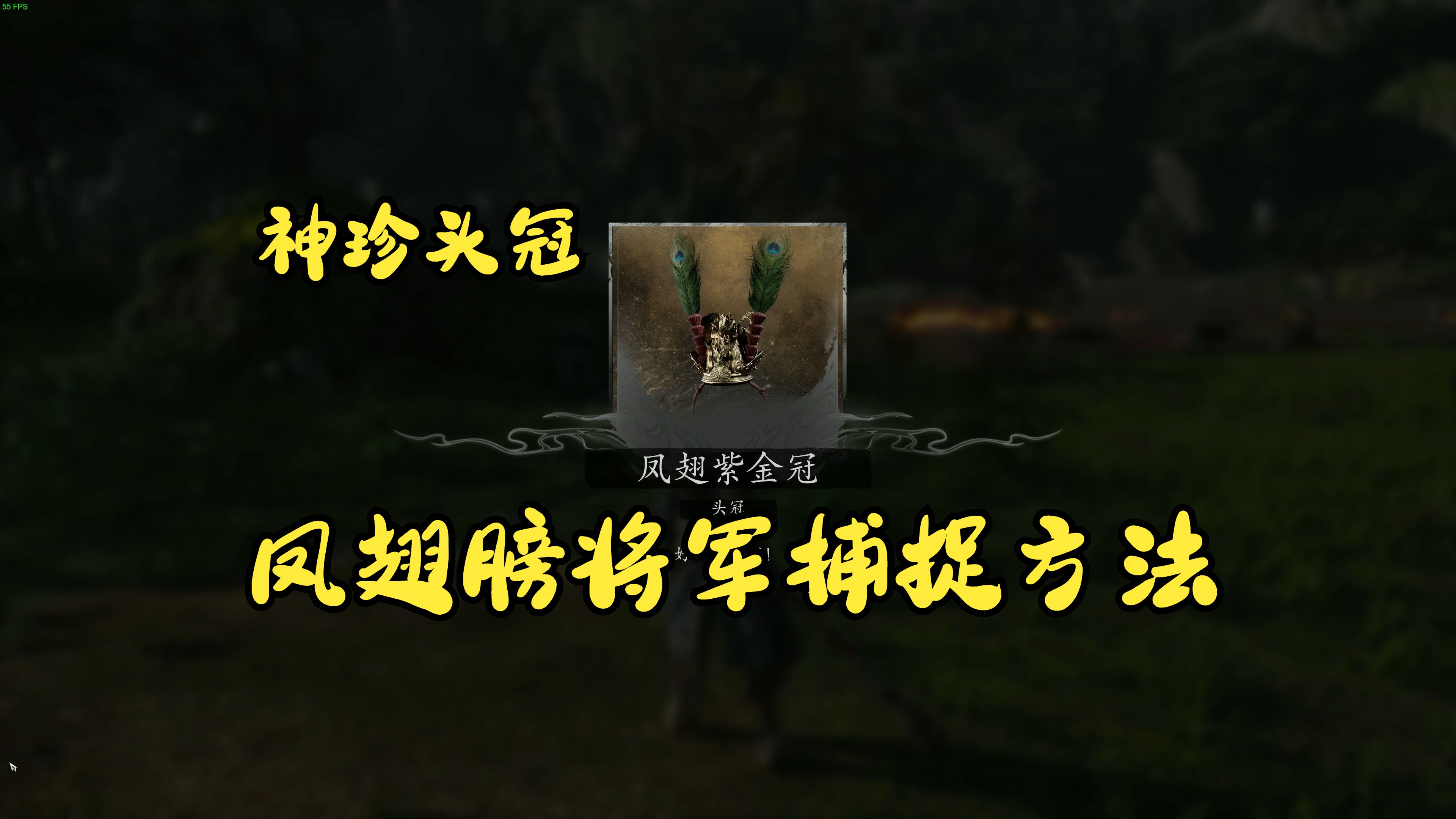 凤翅膀将军捕捉方法,凤翅紫金冠获取方法,看简介网络游戏热门视频