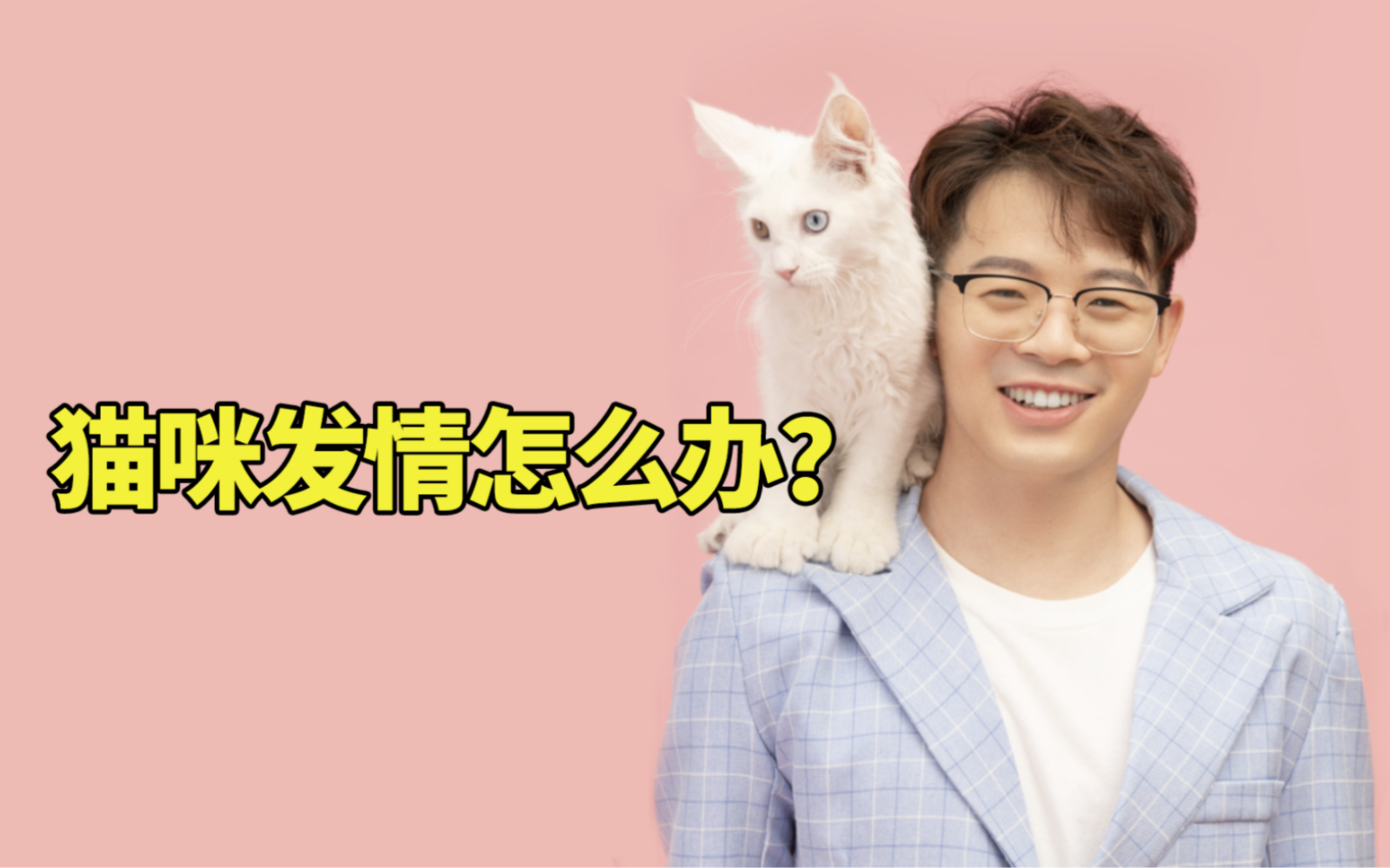 猫咪发情怎么办?说说你们都是怎么应对的…#新手养猫 #科学养宠攻略 #养猫经验分享哔哩哔哩bilibili