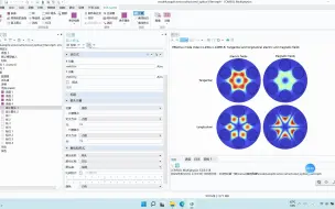 Download Video: 按步骤建立案例库光子晶体光纤模型，但电场磁场箭头不明朗？