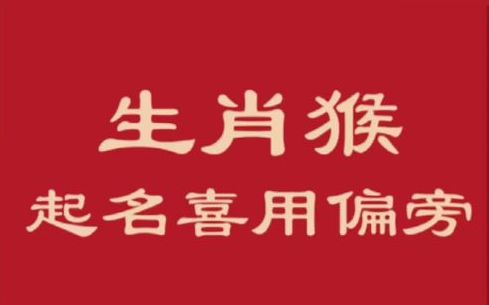 生肖猴宝宝起名宜用字根偏旁推荐哔哩哔哩bilibili