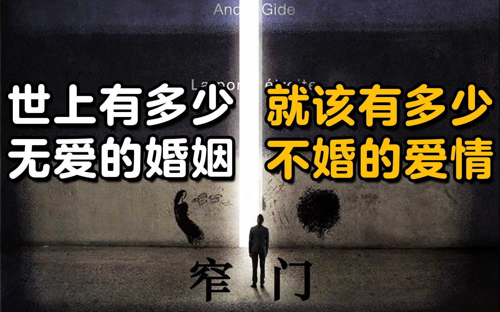 纪德的《窄门》|如果爱就是爱……【周可】哔哩哔哩bilibili