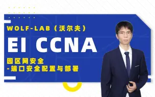 Download Video: 园区网安全-端口安全配置与部署- IT网络工程师EI CCNA学习-WOLF-LAB网络实验室