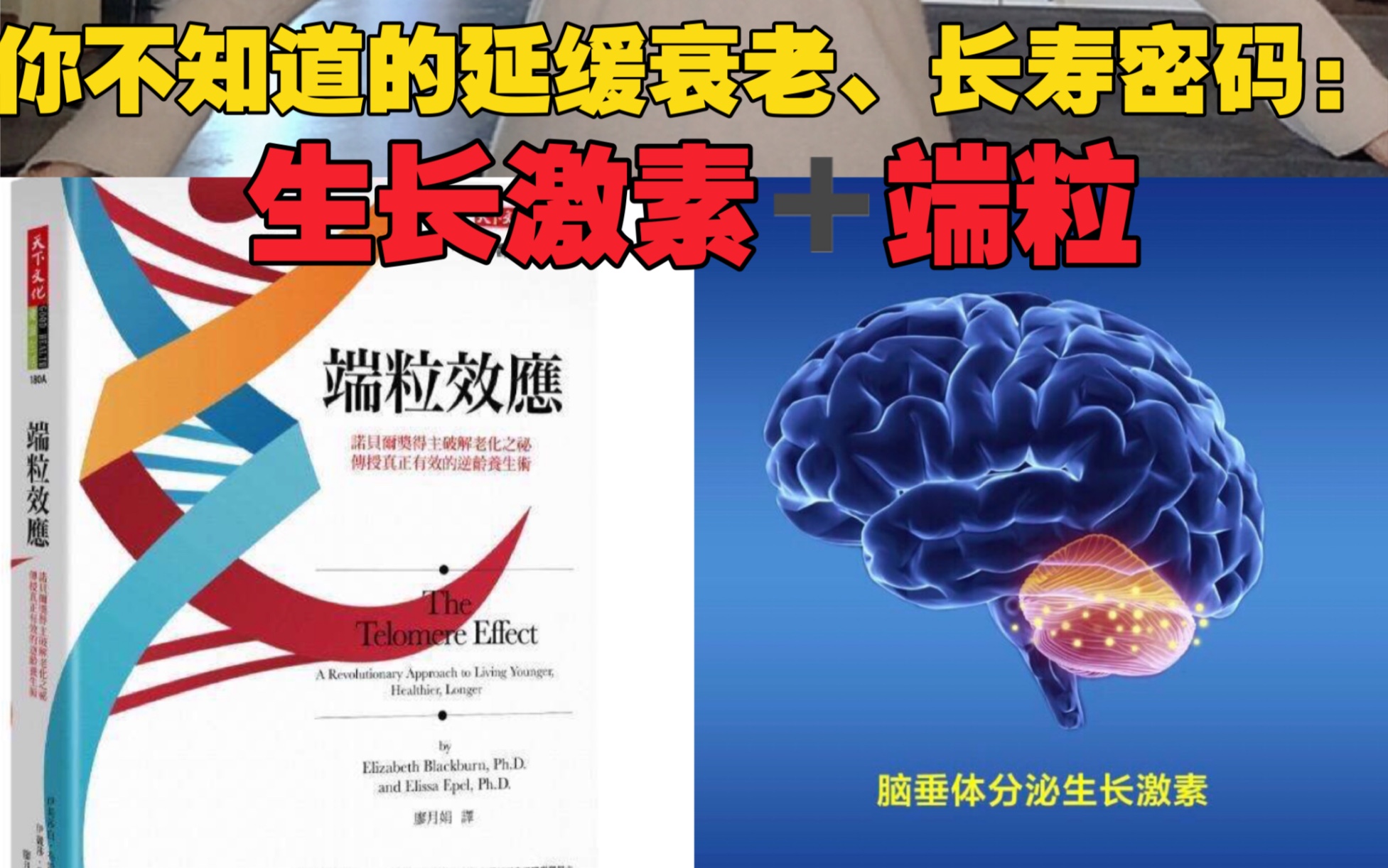 本质上延缓衰老、长寿的2大身体元素:生长激素、端粒!刺激生长激素分泌、延缓端粒缩短速度是关键!内附方法!哔哩哔哩bilibili