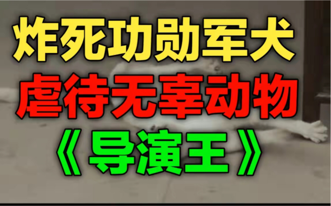 [图]炸死功勋军犬，虐待无辜动物！这些导演正在践踏道德底线！！！