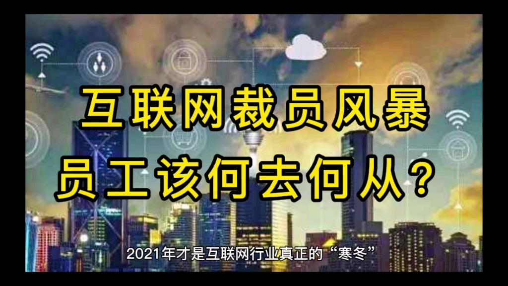 互联网裁员风暴来袭,被裁的员工该去哪里?哔哩哔哩bilibili