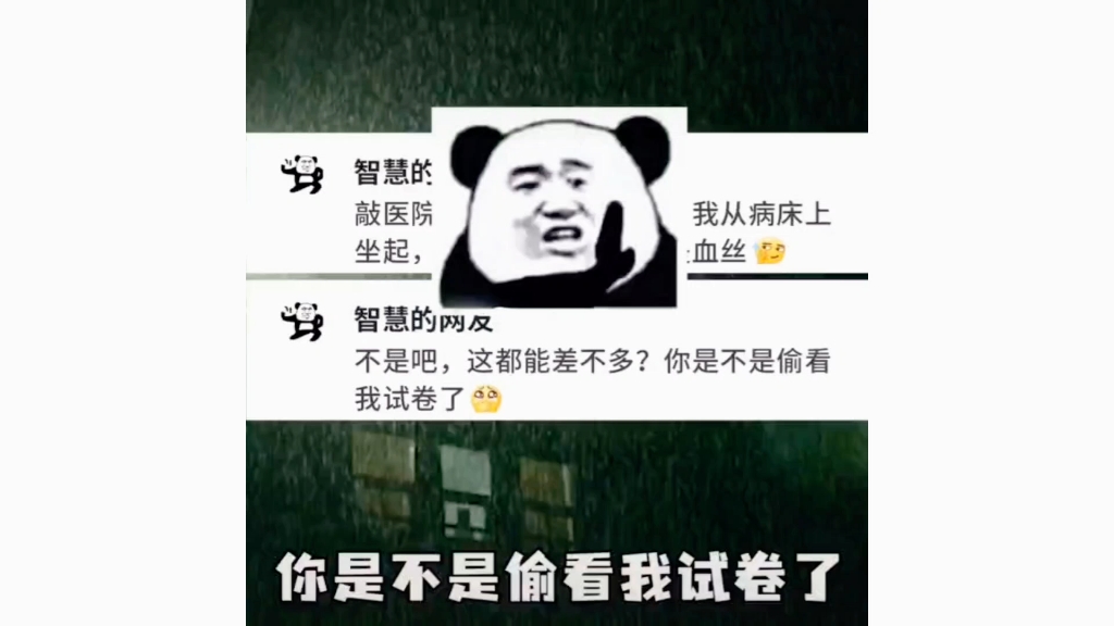 因为这八百字……哔哩哔哩bilibili