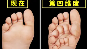 超硬核科普｜四维空间到底是怎么样的？