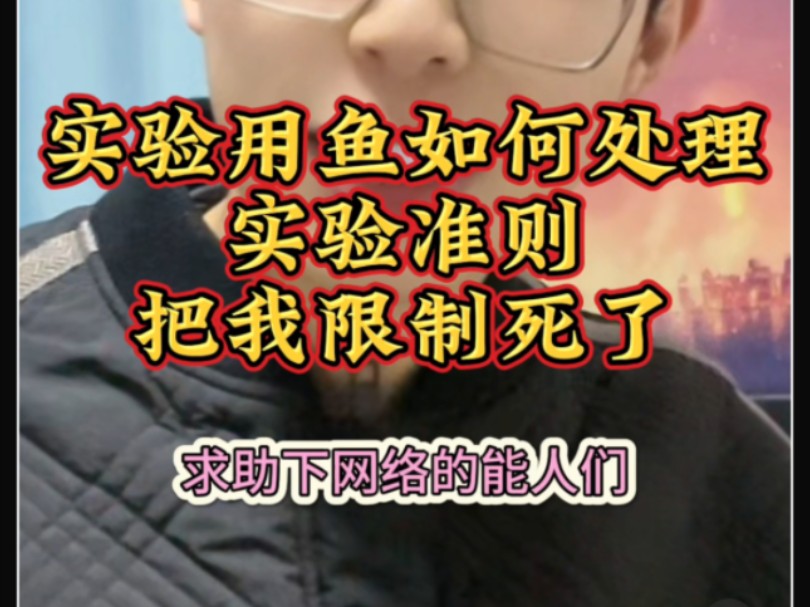 走投无路,求助网友哔哩哔哩bilibili