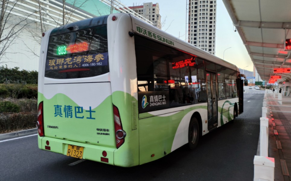 (POV070)(数量已经不多了的申沃绿电)青岛市黄岛区803路公交车(上)(香江路五台山路②青职学院江山南路)前方展望哔哩哔哩bilibili