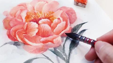 水彩画 水彩作品牡丹花卉教程教您一步步的绘制牡丹水彩图 哔哩哔哩