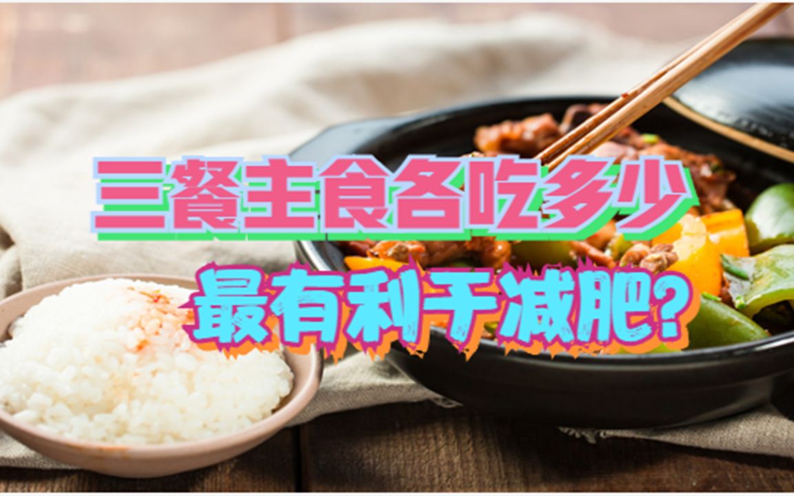 三餐主食各吃多少,最有利于减肥?哔哩哔哩bilibili