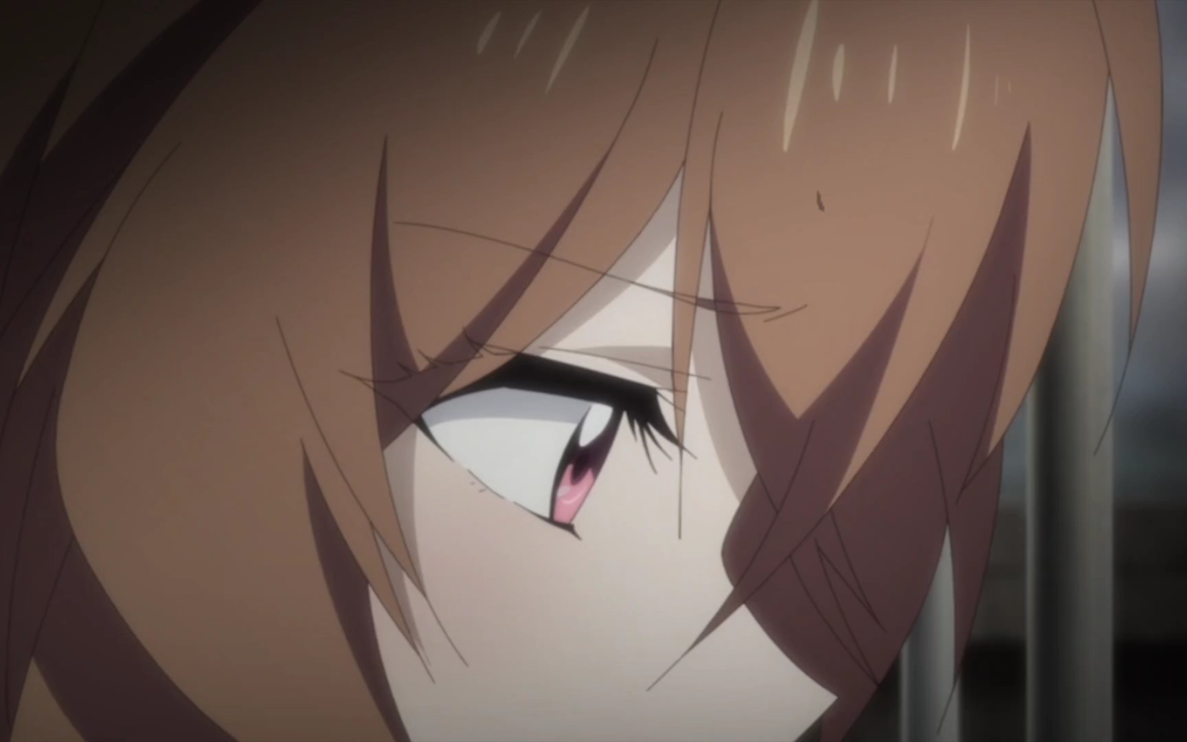 盾之勇者成名录谢谢你拯救了我尚文大人