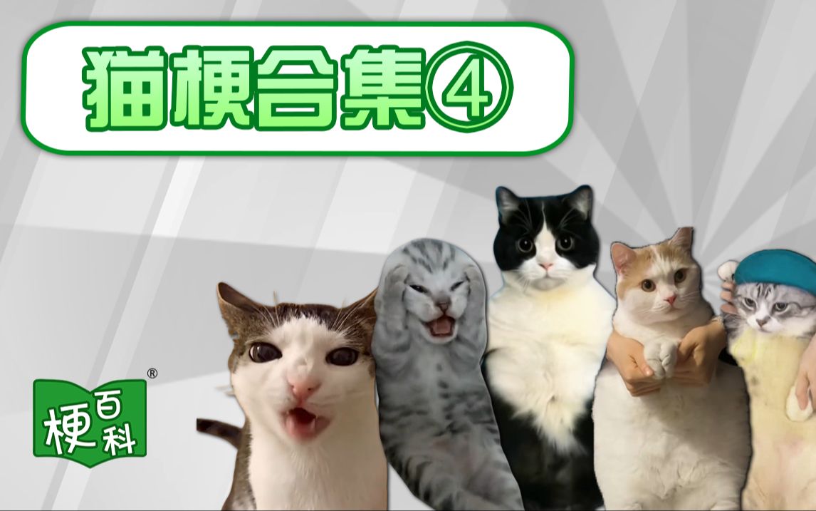 [图]【梗百科】猫meme?尖叫小猫？嘎嘣脆猫？怎么这么多跳舞猫梗？！