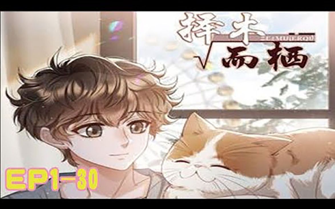 《择木而栖》第130话 八年前,天真的富二代江与绵倒追家教秦衡;八年后身份逆转,新贵秦衡偶遇初恋情人江与绵哔哩哔哩bilibili