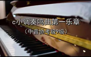 Video herunterladen: c小调奏鸣曲第一乐章（中音协考级9级）有声钢琴谱