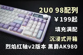 低预算就选它！199起的2U0类98配列键盘，黑爵AK980沉浸式开箱体验，进来听打字音！