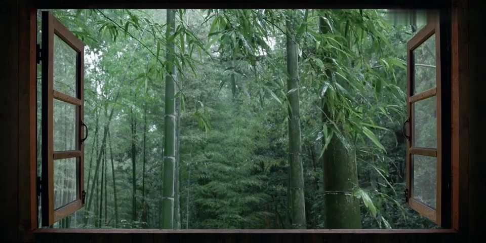 [图]在竹林里听雨的白噪音环境音 【4K实景】雨声+轻微打雷声。自然清新 舒服治愈 很适合投屏享受