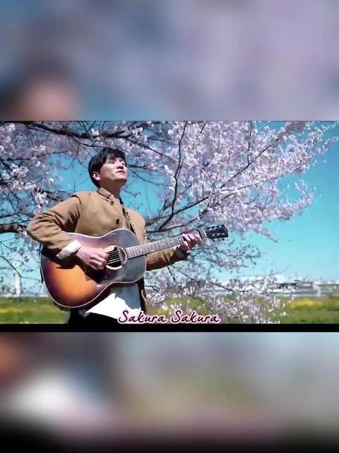 森山naotaro sakura