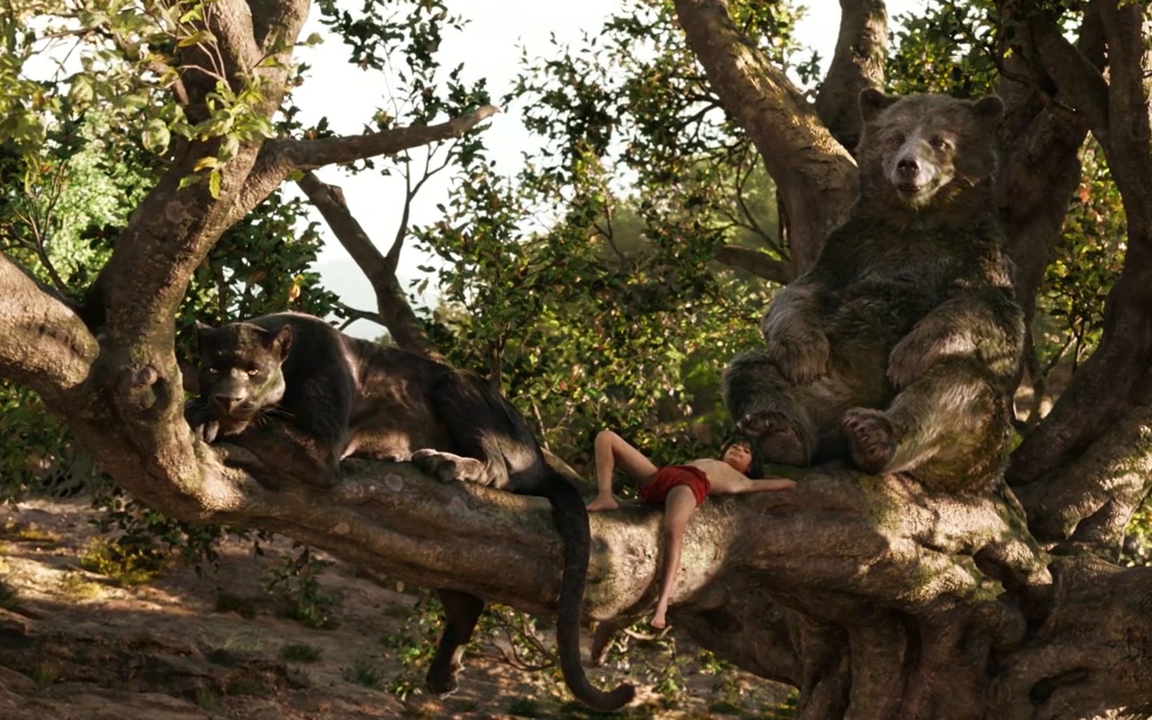 奇幻森林一个孩子用自己的力量把森林里的动物都团结了起来