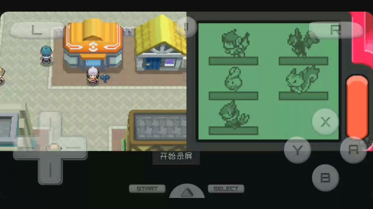 佐喜之口袋妖怪珍珠-战斗!菜种!