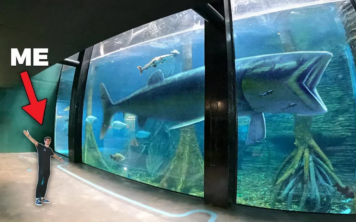 [图]南美最大的水族馆！！（私人旅游）