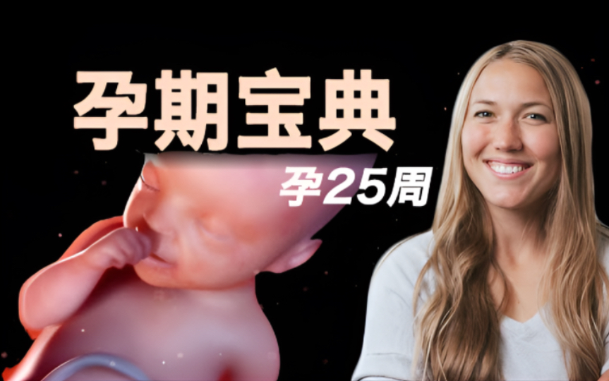 孕25周胎儿发育与妈妈变化全解析!孕期知识大放送!哔哩哔哩bilibili