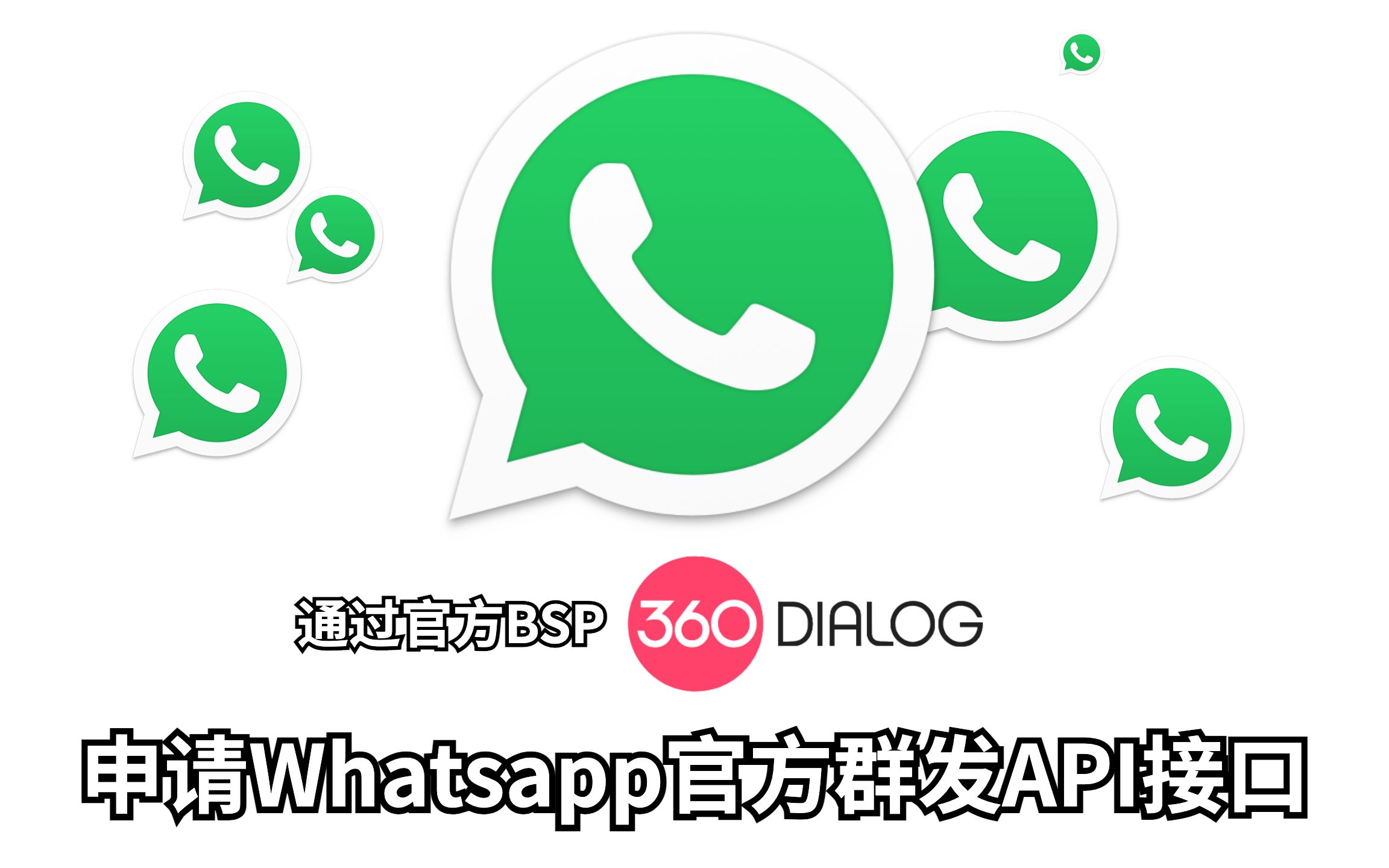 第 5 课|Whatsapp Business API群发系统最佳实践  通过360Dialog申请Whatsapp官方商业API哔哩哔哩bilibili