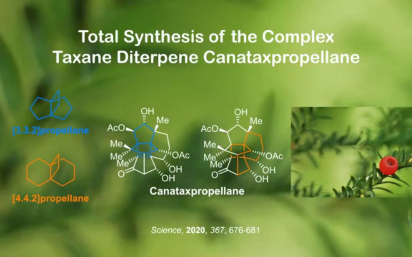 Gaich组:紫杉醇二萜天然产物的全合成 Total synthesis of the complex canataxpropellane哔哩哔哩bilibili