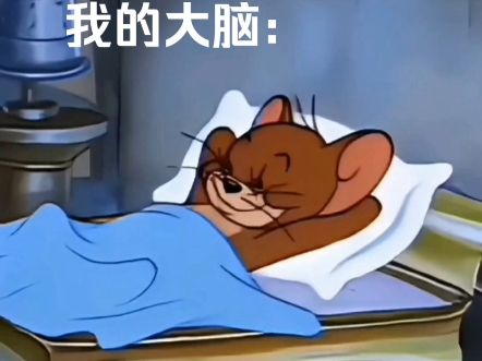 睡前的大脑活动