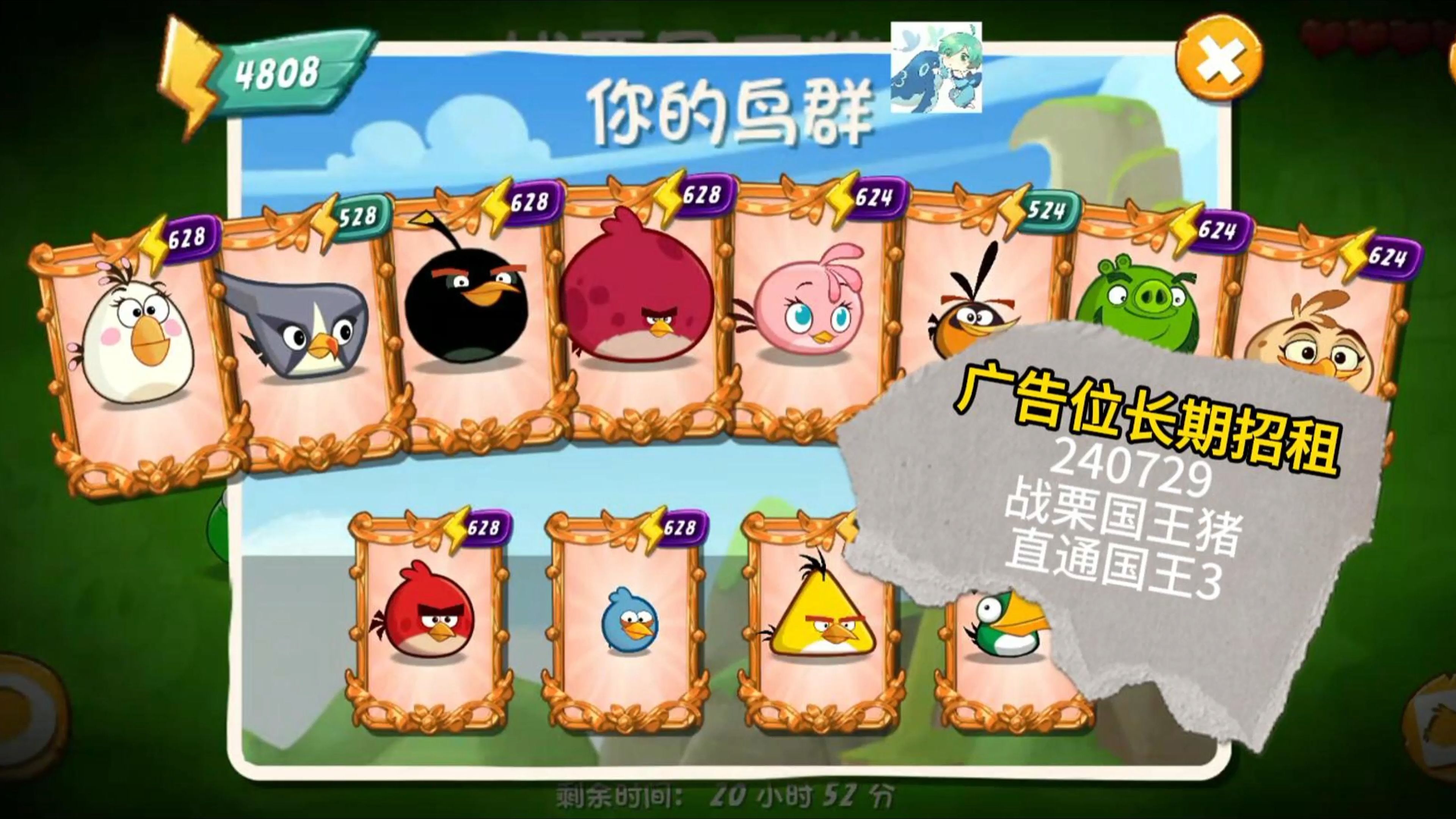 24年07月29日02愤怒的小鸟2战栗国王猪-直通国王3保姆级教学(含鸟序