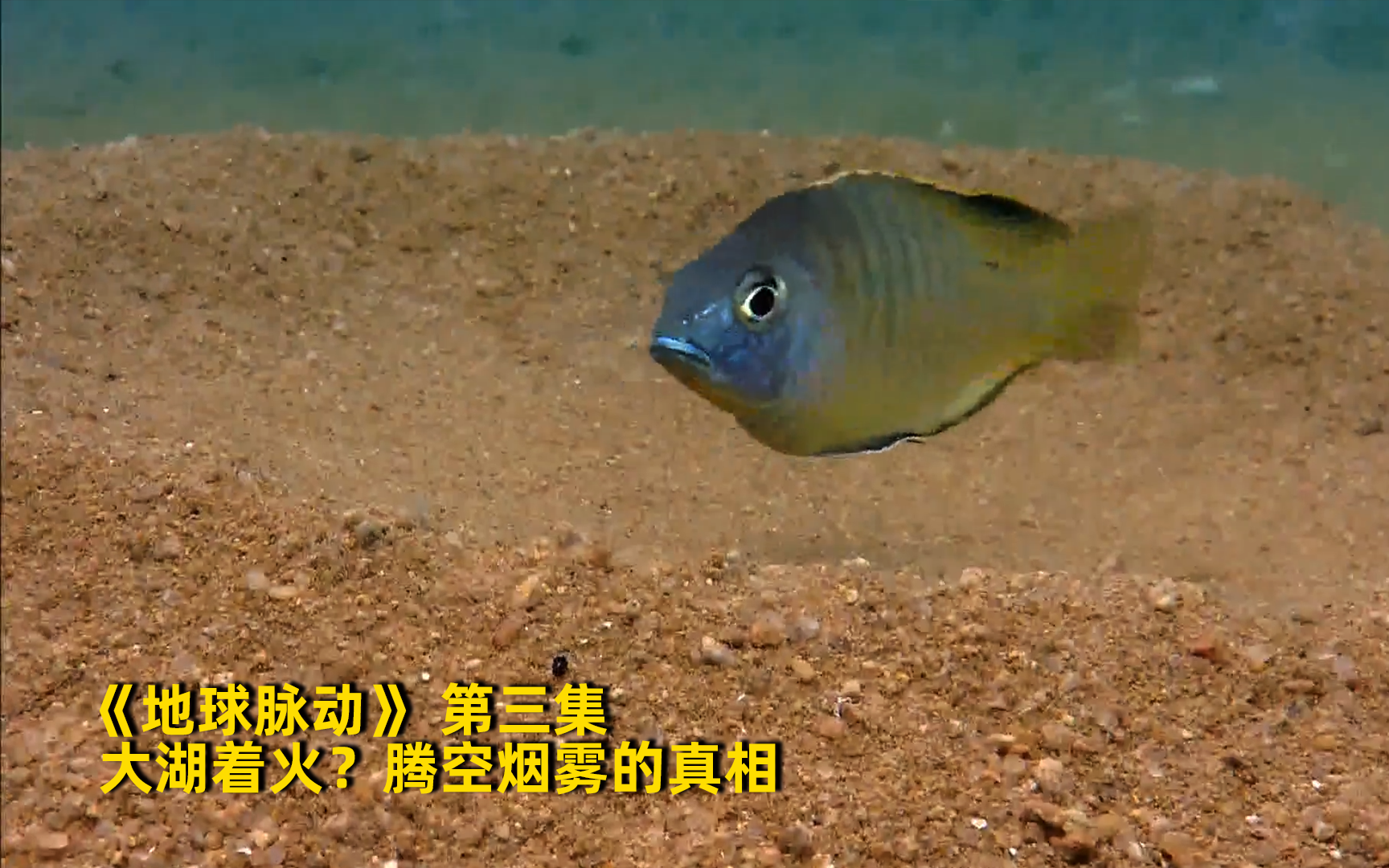 [图]【地球脉动】看点6：大湖着火？腾空烟雾的真相 竖版