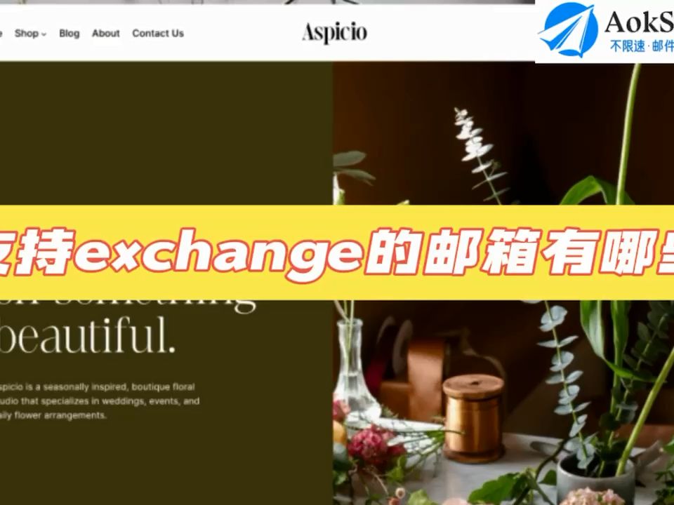 支持exchange的邮箱客户端?exchange服务的设置方法?