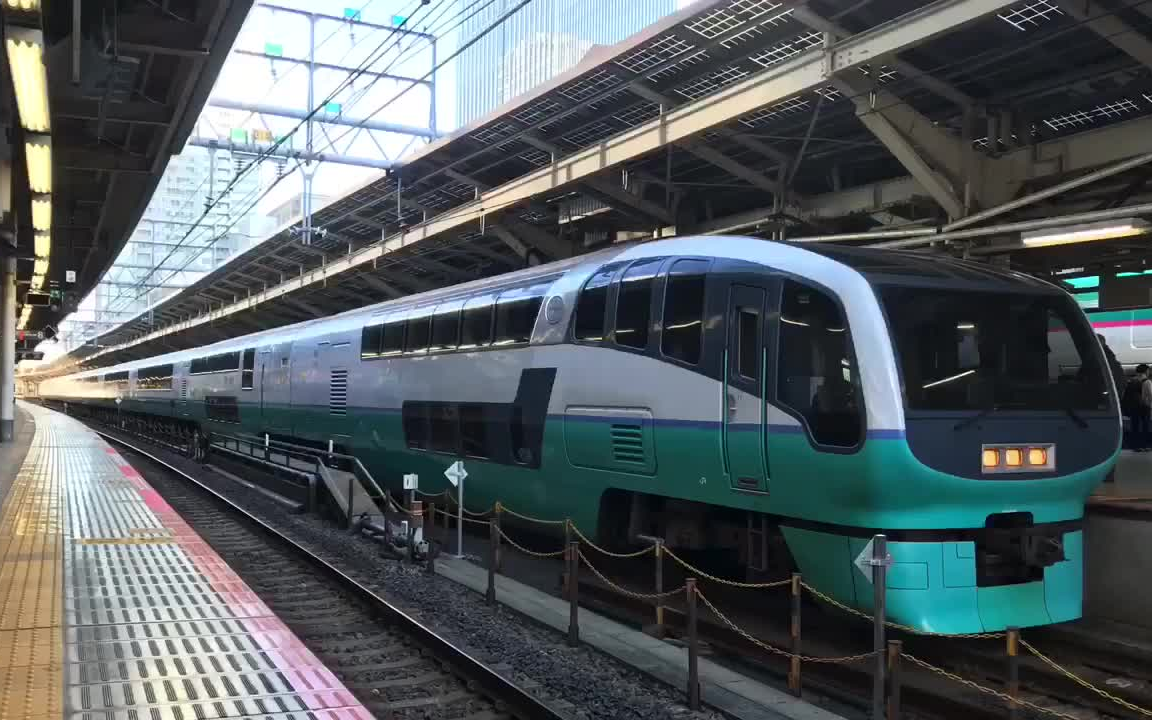 鉄道模型ではなく实车 まもなく運行終了 惜別 185系 251系 東京駅