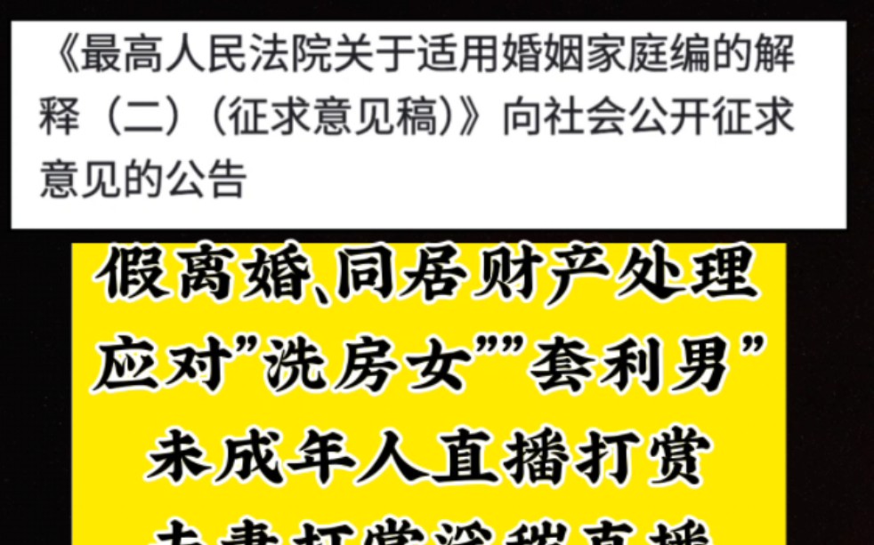 最高法关于适用《民法典婚姻家庭篇》的解释二公开征求意见稿解读哔哩哔哩bilibili