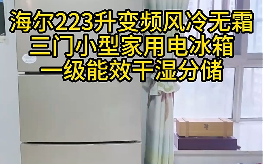 海尔223升变频风冷无霜三门小型电冰箱,一级能效干湿分储中门全变温!哔哩哔哩bilibili