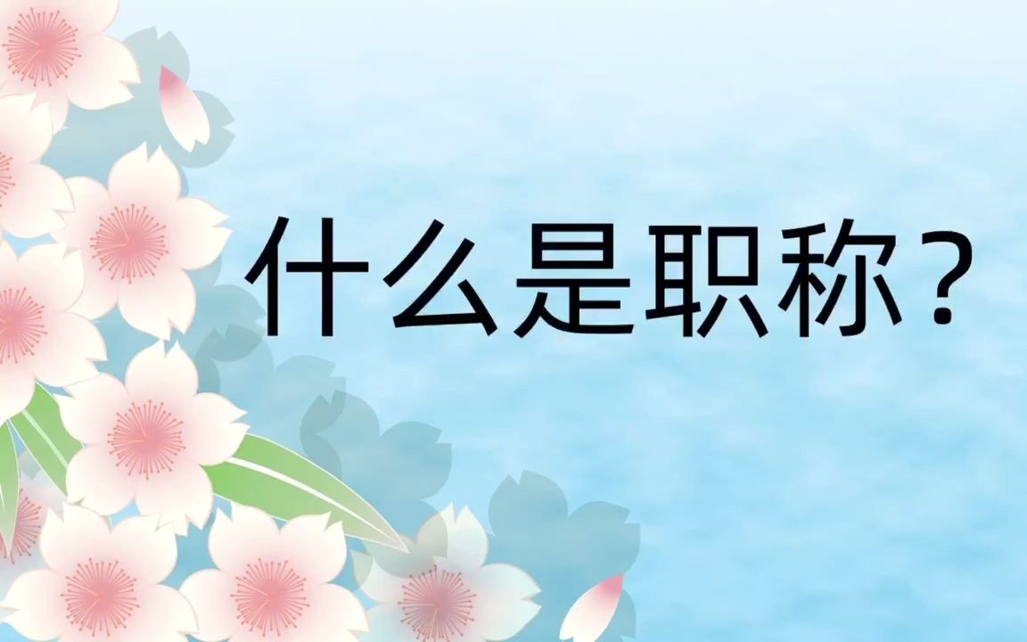 什么是职称?哔哩哔哩bilibili