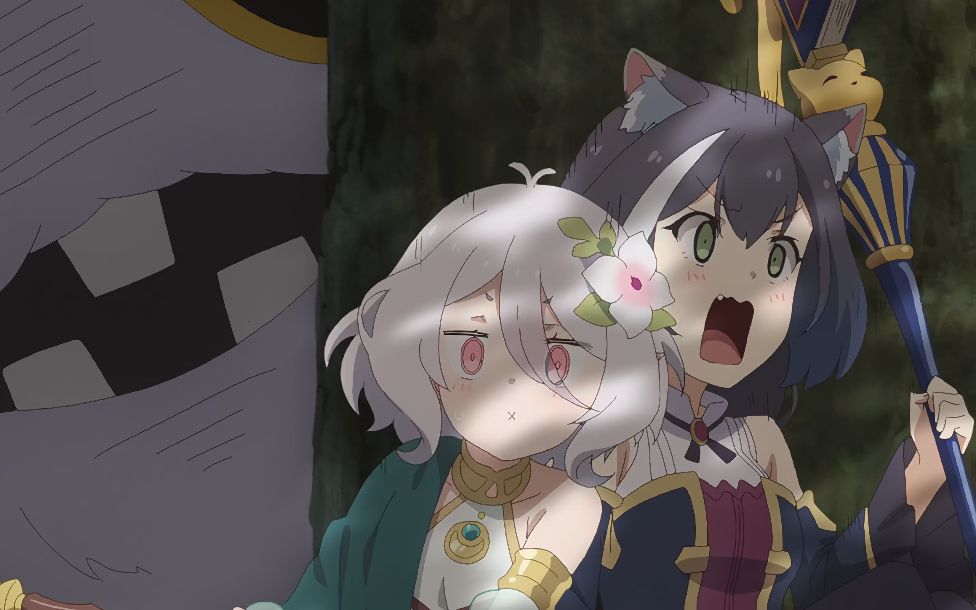 凯露酱!可可萝酱!_哔哩哔哩 (゜-゜)つロ 干杯~-bilibili