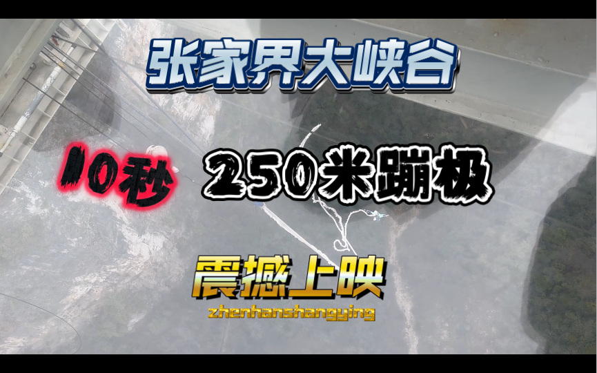 围观一下张家界大峡谷250米蹦极 省下2998元~哔哩哔哩bilibili