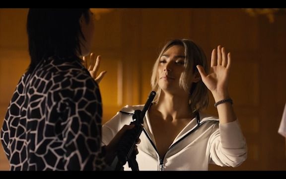 【苣屋】045350010103 085356 0