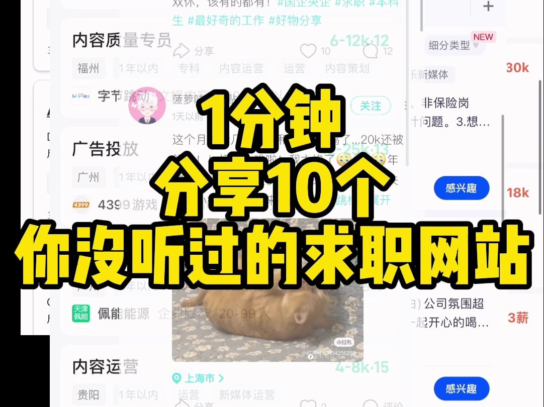 一分钟分享10个你没听过的求职网站哔哩哔哩bilibili